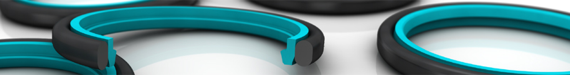 rod-seals-solutions-banner[1].png